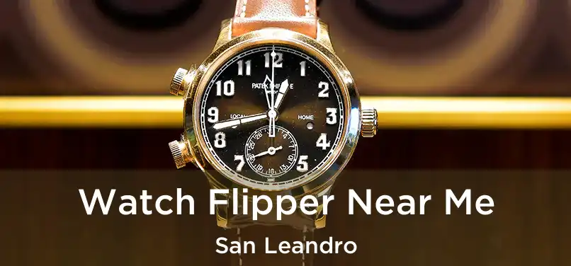  Watch Flipper Near Me San Leandro